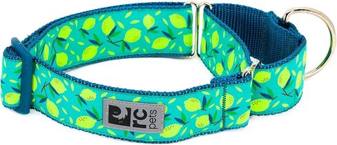 RC Pets 1-1/2 Inch All Webbing Martingale Training Dog Collar, Medium, Lemonade in Saudi Arabia