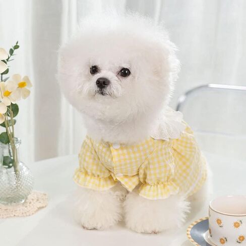Fashion Pet Dog Clothes, Cute Dresses for Small Dogs Cats Summer Puppy Skirt Pup Yorkie Clothing Sundress Costume Cat Clothing Female Pet Skirt Outfit for Chihuahua Yorkies Pup Cat Outfit（Yellow, XXL） in Saudi Arabia