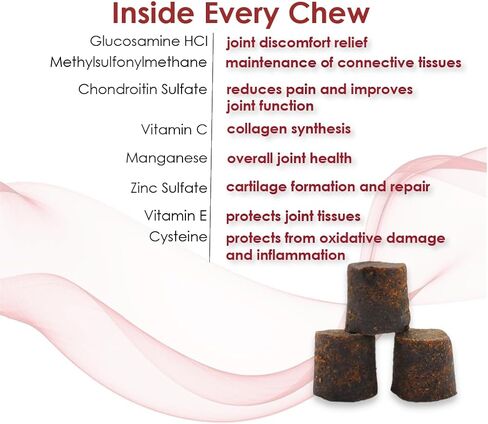 Double Strength Soft Chews for Dogs - Vitamins, Minerals, Antioxidants - Glucosamine, Chondroitin - Beef Flavor - Maximum Joint Health Supplement - 120 Chews in Kuwait