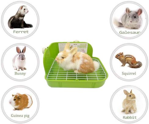 SunshineBio Rabbit Litter Box Toilet for Small Animal Bunny Rabbits Guinea Pig Galesaur Ferrets Corner Litter Pan Potty Trainer with Stainless Steel Panel Small Pets Cage Toilet Bedding Box (Green) in Kuwait