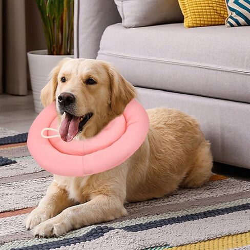Dog Cone, Pet Collar Set, Adjustable Dog Pillow Cone with Leash, Waterproof Post-Operative Recovery Collar, Lick Resistant, for Small Dogs, Medium Dogs(Size:L) in Saudi Arabia