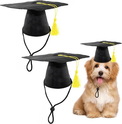 قطعتان من قبعة التخرج للحيوانات الأليفة للكلاب والقطط، قبعة تخرج للكلاب والقطط، أزياء حفلات أعياد الحيوانات الأليفة، زي إكسسوار لصور الحيوانات الأليفة، قبعة للحيوانات الأليفة مع شرابة صفراء in Kuwait