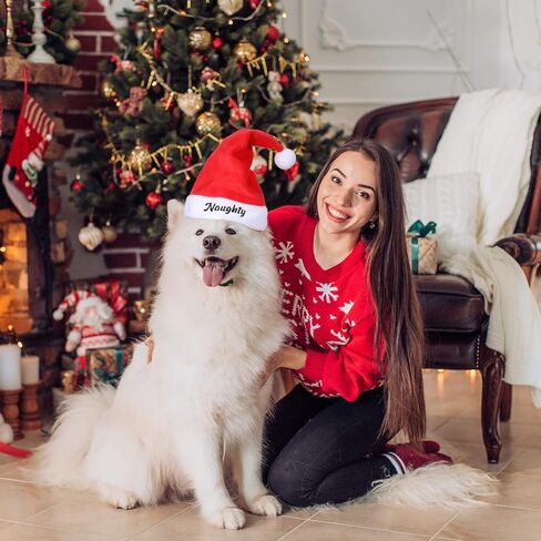 2 Pieces Dog Santa Hat Cute Cat Christmas Hats Adjustable Pet Costumes for Christmas Cats Dogs Pets Outfit Supplies (7.87'' x 7.87'') in Saudi Arabia