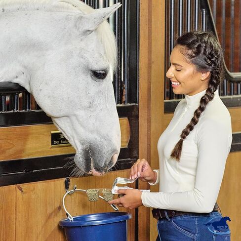 أساسيات التغذية SmartPak SmartPak | مكمل غذائي للخيول | يحتوي على الفيتامينات الأساسية والمعادن والأحماض الأمينية وأوميغا 3 | يساعد على تحسين صحة الجلد وفرو الحصان in Kuwait