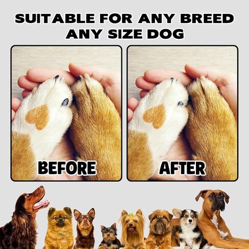 Dog Nail Scratch Board, 3 in 1 Rotatable Round Dog Scratch Board with Food Storage Compartment Box Nail Grinder Claw Care, Stress-Free Dog Scratch Pad (Blue) in Saudi Arabia