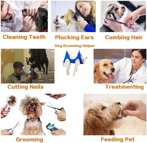 حزام أرجوحة للعناية بالكلاب الأليفة مزود بمشبكين شديد التحمل من الفولاذ المقاوم للصدأ، مقص أظافر، مقلم أظافر، مقص مع حزام حلاقة لقص الأظافر (متوسط/أقل من 55 رطل، أزرق) in Kuwait