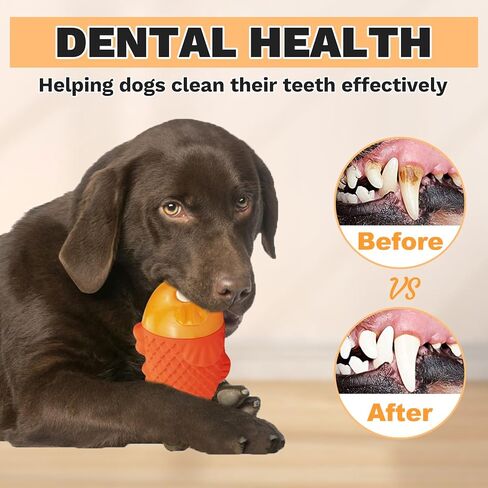 ألعاب الكلاب القوية للمضغ العدواني للسلالات الكبيرة، ألعاب الكلاب المتينة لإبقائهم مشغولين، ألعاب مضغ الكلاب، ألعاب الكلاب غير القابلة للتدمير للكلاب الكبيرة، ألعاب الكلاب التي تصدر صريرًا، ألعاب حمام السباحة الفائقة للكلاب in Kuwait