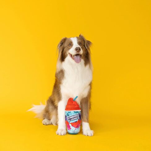 Fringe Studio Plush Dog Toy, BARKIN Donuts ICED Coffee, Wagsdale Dog Toy Collection (289736) in Saudi Arabia