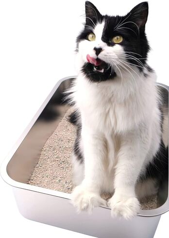Midlee Stainless Steel Cat Litter Box- XL Size- 23.5" x 15.5" x 5.75" in Saudi Arabia