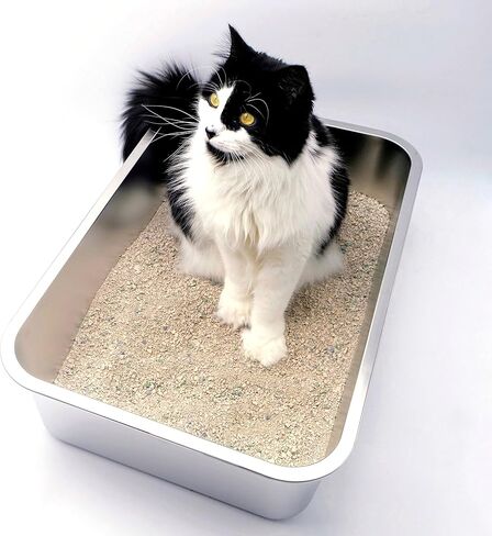 Midlee Stainless Steel Cat Litter Box- XL Size- 23.5" x 15.5" x 5.75" in Saudi Arabia