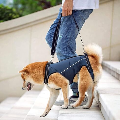 Dog Lift Harness Full Body Support & Recovery Sling Dog Lifter Vest Harness for Old, Joint Injuries, Arthritis, Disabled Dogs Walk (Small, Navy) in Saudi Arabia