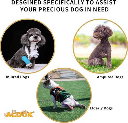 Dog Lift Harness Full Body Support & Recovery Sling Dog Lifter Vest Harness for Old, Joint Injuries, Arthritis, Disabled Dogs Walk (Small, Navy) in Saudi Arabia