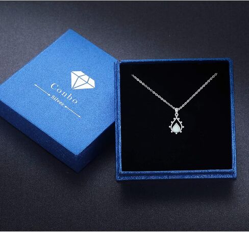 s925 الفضة الاسترليني قلادة دمعة قلادة جرة للرماد للنساء الفتيات، waterdrop الحرق رقبة للكلاب القط رماد الإنسان الحرق أوبال مجوهرات المنجد تذكار تذكاري in Kuwait