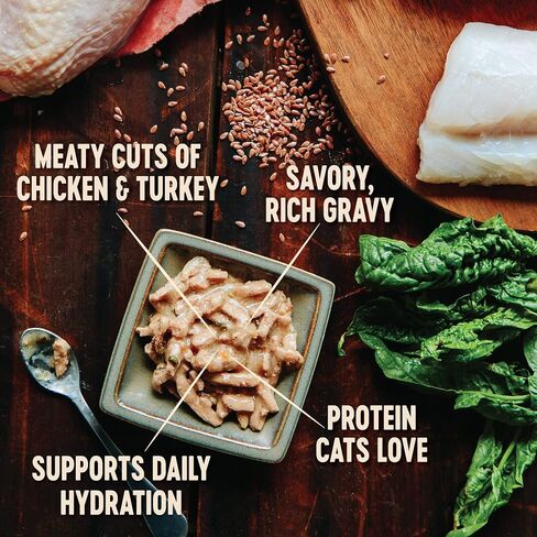 Wellness CORE Hearty Cuts طعام القطط المعلب الرطب والخالي من الحبوب الطبيعية والدجاج والديك الرومي، علبة 5.5 أونصة (عبوة من 24 قطعة) in Saudi Arabia
