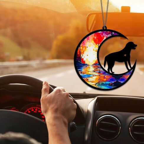 صائد الشمس التذكاري للكلاب لمحبي الحيوانات الأليفة، مخصص بالاسم، صائد الشمس المخصص لفقدان الحيوانات الأليفة، هدايا تذكارية للكلاب لفقدان الكلب، زينة تذكارية للكلاب لفقدان الحيوانات الأليفة هدية التعاطف in Saudi Arabia