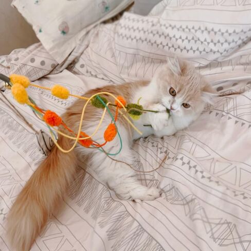 عصا القطط، 3 قطع من عصا تحفيز القطط القطيفة التفاعلية المصنوعة من الخيزران الطبيعي للقطط والقطط in Kuwait