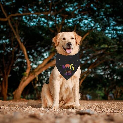 Halloween Hocus Pocus Dog Bandanas - I Smell Children Witch Dog Scarf - 2 Pcs Adjustable Sanderson Sisters Holiday Party Triangle Reversible Pet Bandanas for Medium Large Dogs in Saudi Arabia