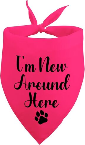 Hello I'm New Here Dog Bandana New Puppy Reveal Dog Bandana New Puppy Announcement New Dog Announcement Photo Prop Pet Accessories for Dog Lovers Owner Gift in Saudi Arabia