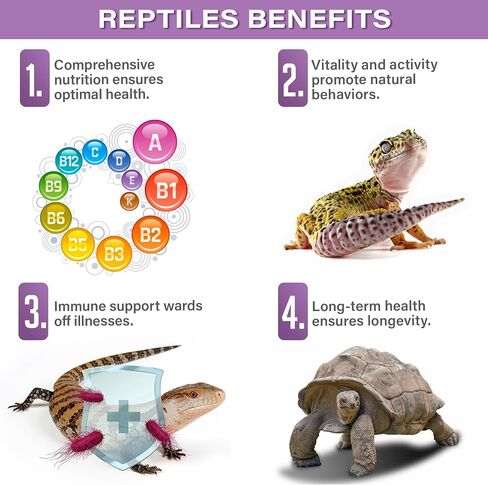 4oz All Reptile & Amphibian Multi-Vitamin Powder. Premium Supplement, Supports Growth, Recovery, and Development. Boosted with Minerals, Carotenoids, and Amino Acids. Made in USA. Enjoy! in Saudi Arabia
