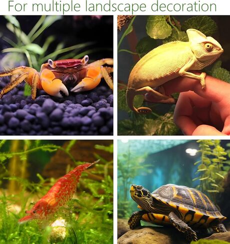Aquarium Decor Rock Betta Fish Tank Decorations Ceramic Hideout Stone for Fish Shrimp Turtle Crab to Breed, Rest and Play, Small Fish Bowl Hiding Cave, Pot Shaped Betta Toys in Saudi Arabia