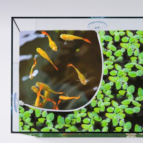 حوض السمك العائم للنباتات، سياج النبات العائم مع كوب الشفط، يفصل بين النباتات العائمة، ملحقات حوض السمك لخزان الأسماك in Kuwait