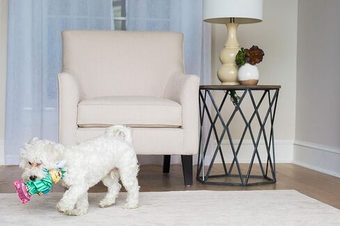 تمثال القط السمين في LIBARKY in Kuwait