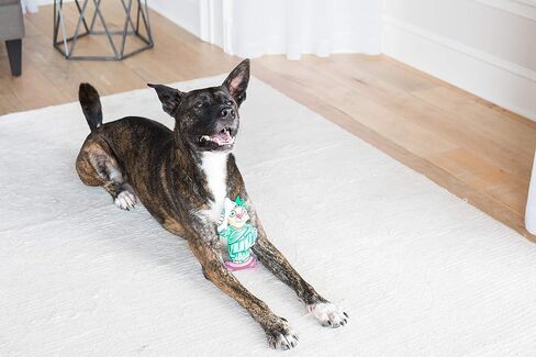 تمثال القط السمين في LIBARKY in Kuwait