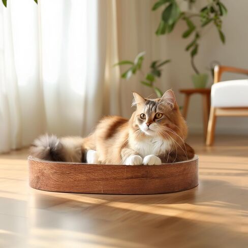 ComSaf Cat Scratching Board - Cat Scratcher for Indoor Cats, Cardboard Cat Scratch Pad Oval Cat Scratcher Bed for Kitten, Durable Cat Scratcher Bowl Circle, Furniture Protector from Cat Claws in Saudi Arabia