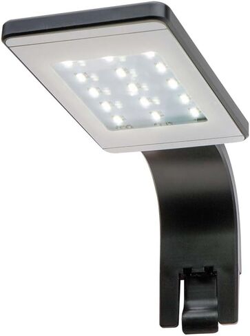 Cobalt Aquatics Freshwater Plant LED Light – 8000K - Black - Perfect for Fish Aquariums & Tanks - Enhances Aquarium Decorations & Plant Growth in Saudi Arabia