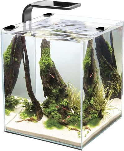 Cobalt Aquatics Freshwater Plant LED Light – 8000K - Black - Perfect for Fish Aquariums & Tanks - Enhances Aquarium Decorations & Plant Growth in Saudi Arabia