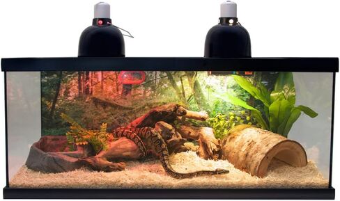 Zoo Med Laboratories SZMNTS21 Reptihabitat 20 Long Snake Starter Kit in Saudi Arabia