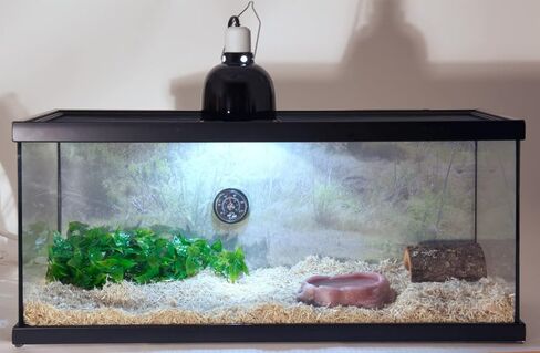 Zoo Med Laboratories SZMNTS21 Reptihabitat 20 Long Snake Starter Kit in Saudi Arabia