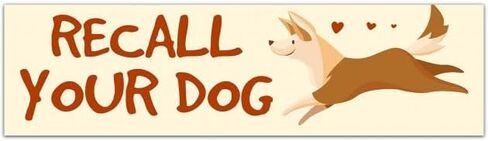 Recall Your Dog Sticker | Dog Training | Dog Trainer | Reactive Dog | Aggression | Fearful Bumper Sticker [01678] in Saudi Arabia