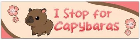 Capybara Bumper Sticker, Funny Capybara Sticker, Stickers For Car, Bumper Stickers, Waterproof Stickers, Stickers [00244] in Saudi Arabia