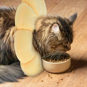 NABO Pet Collar Cat Cone Adjustable Recovery Collar After Surgery Elizabeth Circle for Cats and Small Dogs, Sunflower Large Size