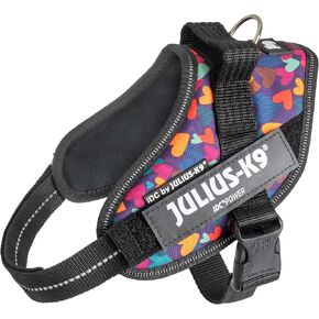 IDC Powerharness, Size: S/Mini, Mixed Heart (Limited Edition)