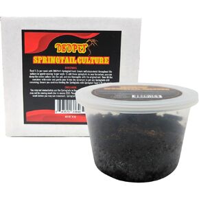Live Springtail Cultures - Great for Terrariums, Vivariums, and More - Microfauna for Bioactive Reptile & Amphibian Cages (Clay Culture (New Option))