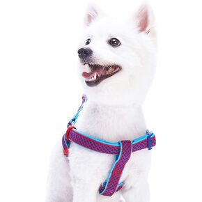 Blueberry Pet 2 Colors Soft & Comfy Step-in Urban Chic Diamond Pattern Padded Dog Harness, Chest Girth 15.5" - 19.5", Bold Red, Small, Adjustable Harnesses for Dogs