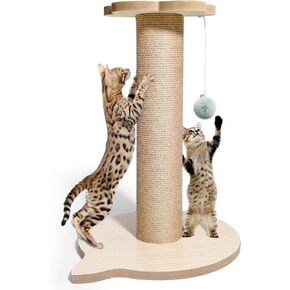 18" Tall Cat Tree for Kittens, Jute Scratching Post with Hanging Ball for Kitten & Adult Cats, Small Cat Tower with Toys, Cat Activity Tree Indoor