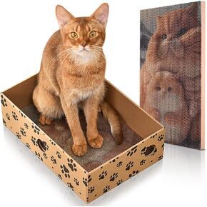 Cardboard Cat Scratcher for Indoor Cats, Cardboard Cat Scratching Board, Cat Scratch Pad, Cat Toys for Indoor Cats Interactive Hole Design, Suitable for Kittens or Small Adult Cats Under 13 Lbs