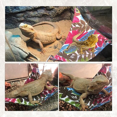 Reptile Climbing Bridge, Bamboo Lizard Ladder Bridge Bearded Dragon Hammock Lizard Lounger Hanging Terrarium Vines Decor Reptiles Habitat Tank Accessories for Gecko Chameleon(4PCS) in Saudi Arabia