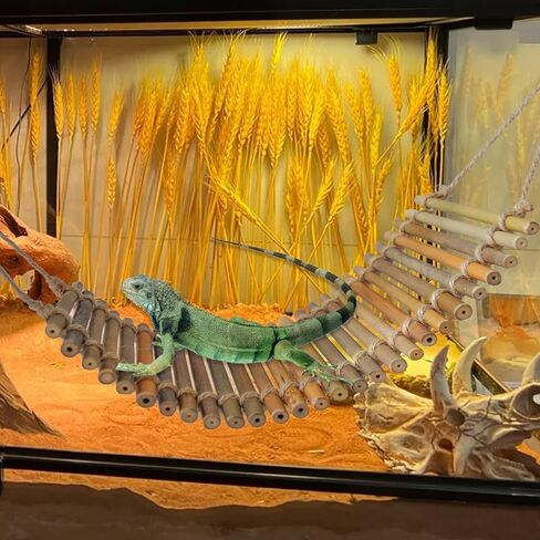 Reptile Climbing Bridge, Bamboo Lizard Ladder Bridge Bearded Dragon Hammock Lizard Lounger Hanging Terrarium Vines Decor Reptiles Habitat Tank Accessories for Gecko Chameleon(4PCS) in Saudi Arabia