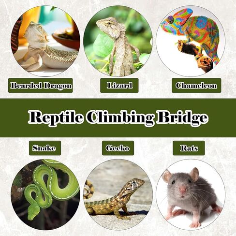 Reptile Climbing Bridge, Bamboo Lizard Ladder Bridge Bearded Dragon Hammock Lizard Lounger Hanging Terrarium Vines Decor Reptiles Habitat Tank Accessories for Gecko Chameleon(4PCS) in Saudi Arabia