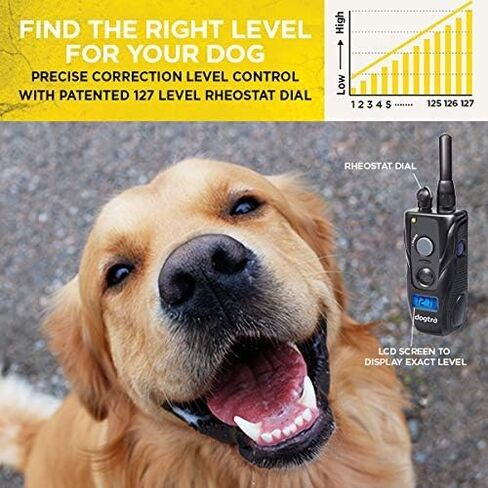 Dogtra 280C مقاوم للماء على مستوى 127 مستوى، ½ ميل، طوق إلكتروني للتدريب عن بعد مع مجموعة تدريب كاملة للحيوانات الأليفة للمعلم مع جهاز نقر، سلسلة من الفولاذ المقاوم للصدأ ومصد دمية للصيد مقاس واحد in Kuwait