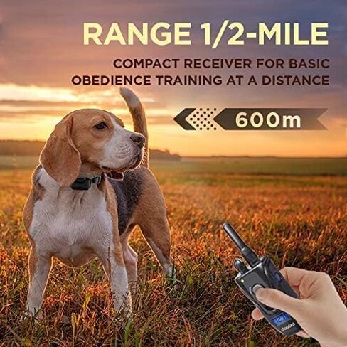 Dogtra 280C مقاوم للماء على مستوى 127 مستوى، ½ ميل، طوق إلكتروني للتدريب عن بعد مع مجموعة تدريب كاملة للحيوانات الأليفة للمعلم مع جهاز نقر، سلسلة من الفولاذ المقاوم للصدأ ومصد دمية للصيد مقاس واحد in Kuwait