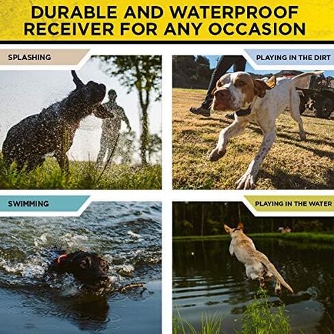 Dogtra 280C مقاوم للماء على مستوى 127 مستوى، ½ ميل، طوق إلكتروني للتدريب عن بعد مع مجموعة تدريب كاملة للحيوانات الأليفة للمعلم مع جهاز نقر، سلسلة من الفولاذ المقاوم للصدأ ومصد دمية للصيد مقاس واحد in Kuwait