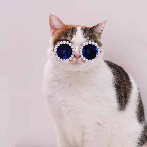نظارات شمسية من Cat Pearl - إكسسوارات تنكرية لطيفة ومضحكة للحيوانات الأليفة للحفلات (أسود، صغير) in Saudi Arabia