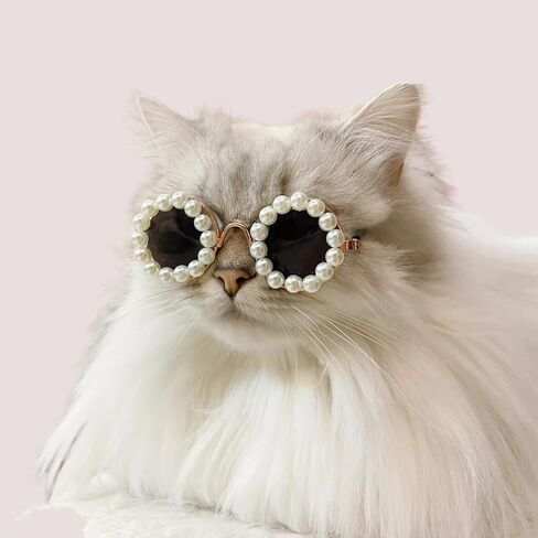 نظارات شمسية من Cat Pearl - إكسسوارات تنكرية لطيفة ومضحكة للحيوانات الأليفة للحفلات (أسود، صغير) in Saudi Arabia