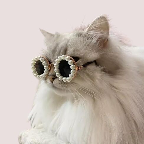 نظارات شمسية من Cat Pearl - إكسسوارات تنكرية لطيفة ومضحكة للحيوانات الأليفة للحفلات (أسود، صغير) in Saudi Arabia