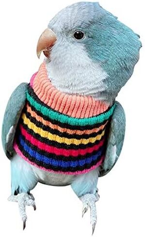 HEZHUO Parrot Bird Supplies, Light Flying Clothes, Warm and Comfortable, Tiger Skin, Green Cheek Parrot, Little Sun Parrot, Monk Parrot, Starling, mynah, Senegal Parrot, Mini Macaw Sweater (L) in Saudi Arabia